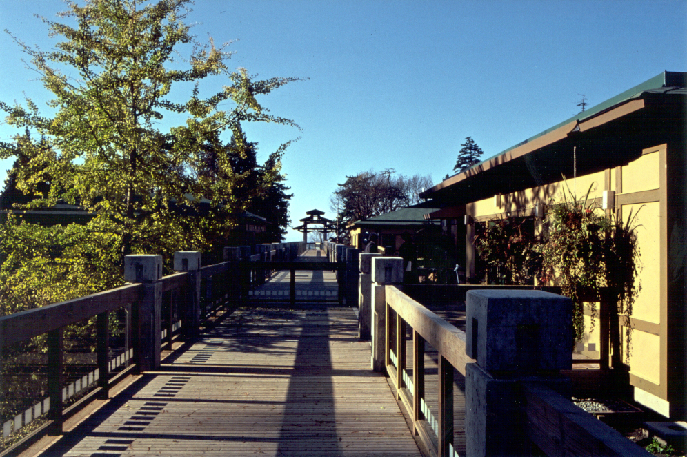 About UBC Botanical Gardens